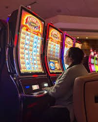 Cricket result discussion beside responsible gaming reminders on 777bdx